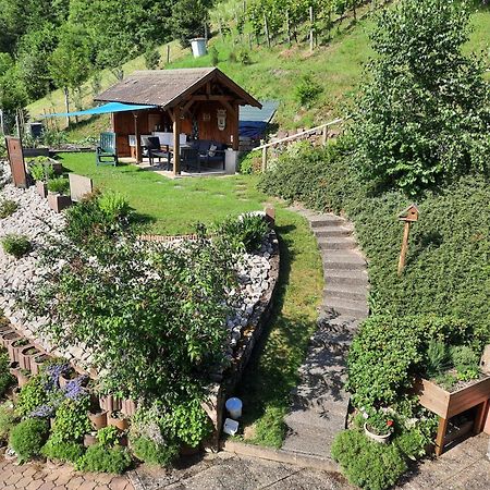 Chambres D'Hotes "Au Val Sejour" Alsace Saint-Martin  Ngoại thất bức ảnh