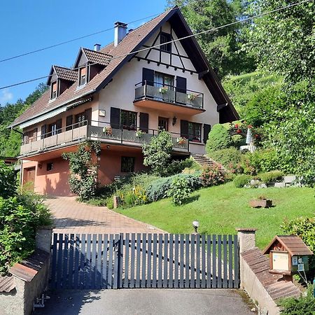 Chambres D'Hotes "Au Val Sejour" Alsace Saint-Martin  Ngoại thất bức ảnh