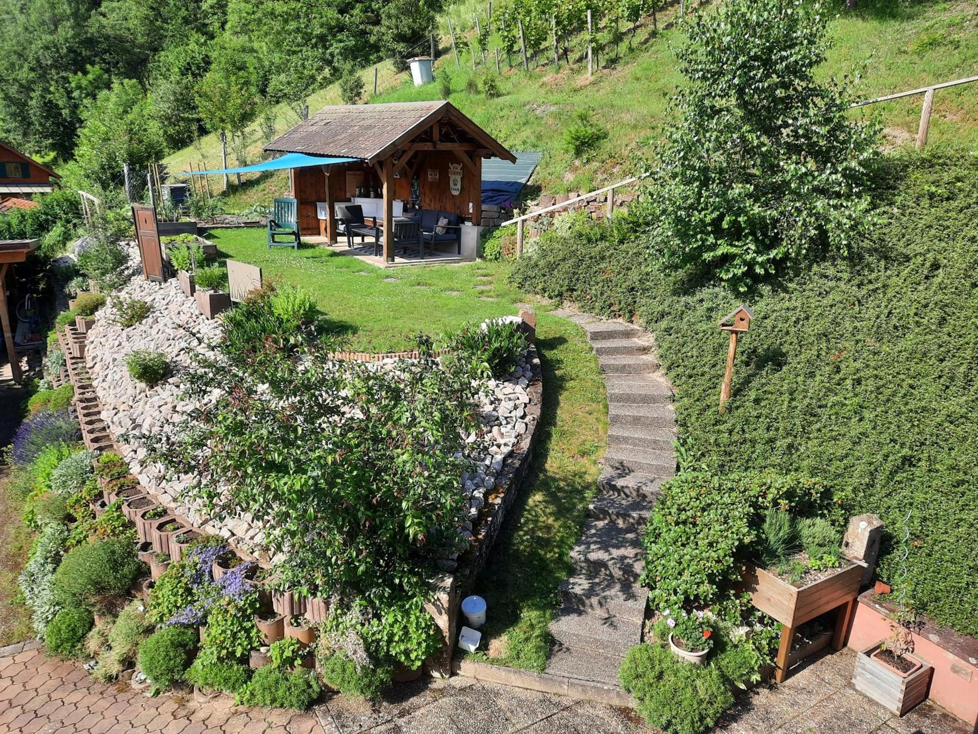 Chambres D'Hotes "Au Val Sejour" Alsace Saint-Martin  Ngoại thất bức ảnh