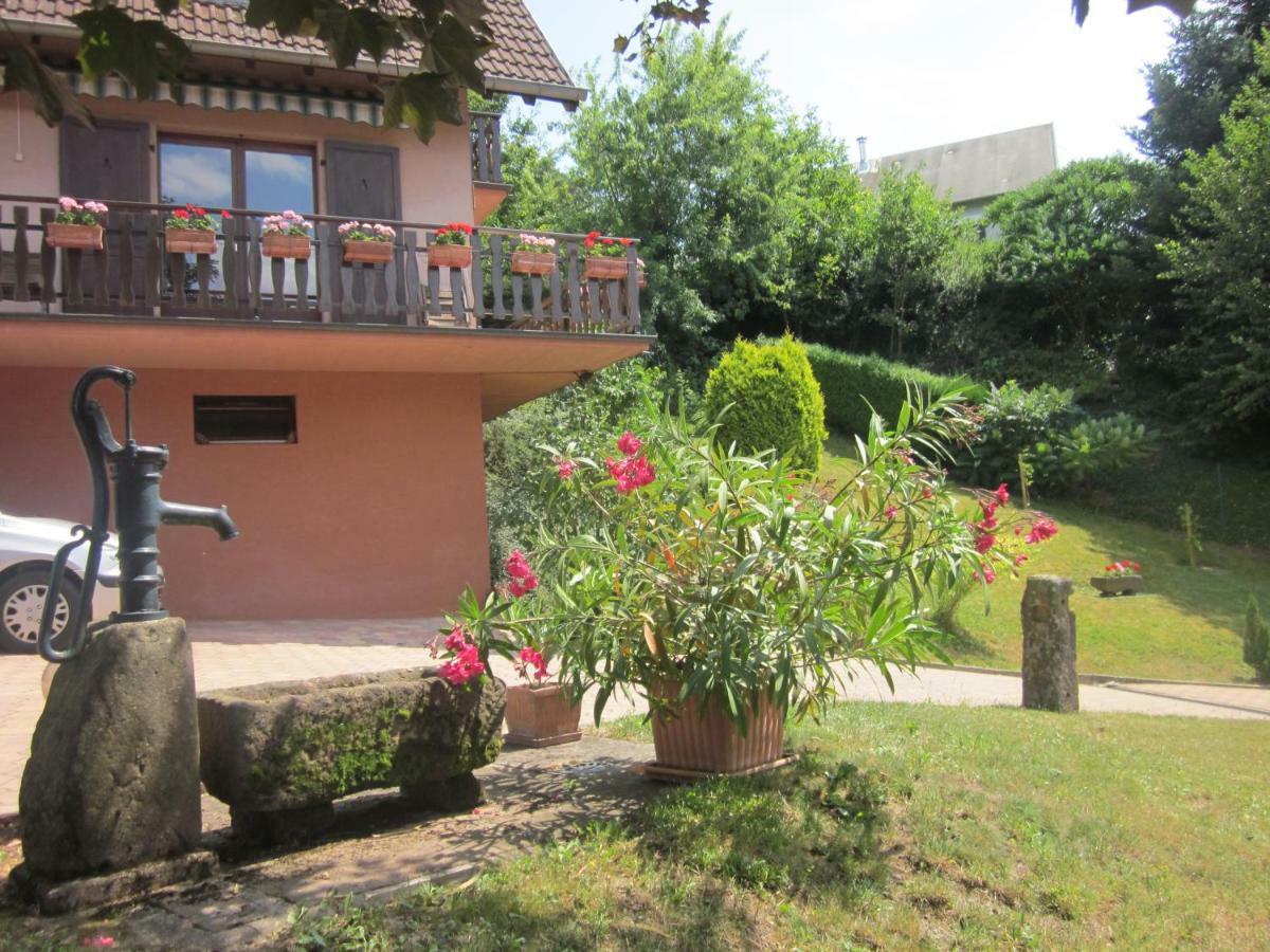 Chambres D'Hotes "Au Val Sejour" Alsace Saint-Martin  Ngoại thất bức ảnh