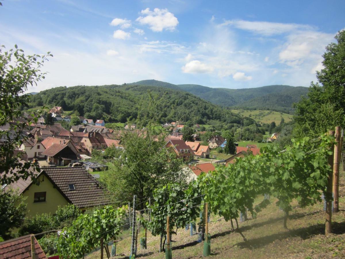 Chambres D'Hotes "Au Val Sejour" Alsace Saint-Martin  Ngoại thất bức ảnh